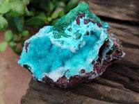 Natural Drusy Coated Chrysocolla with Malachite and a Hemimorphite specimen on Dolomite Matrix x 6 From Lupoto Mine, Congo