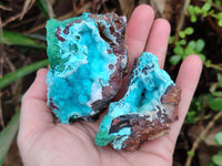 Natural Drusy Coated Chrysocolla with Malachite and a Hemimorphite specimen on Dolomite Matrix x 6 From Lupoto Mine, Congo