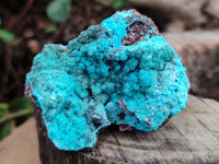 Natural Drusy Coated Chrysocolla with Malachite and a Hemimorphite specimen on Dolomite Matrix x 6 From Lupoto Mine, Congo