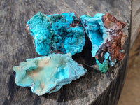 Natural Drusy Coated Chrysocolla with Malachite and a Hemimorphite specimen on Dolomite Matrix x 6 From Lupoto Mine, Congo