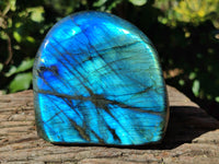 Polished Top Grade Labradorite Standing Free Forms x 2 From Tulear, Madagascar