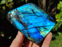Polished Top Grade Labradorite Standing Free Forms x 2 From Tulear, Madagascar