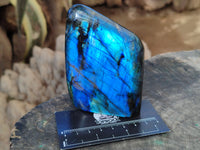 Polished Top Grade Labradorite Standing Free Forms x 2 From Tulear, Madagascar