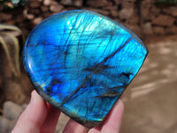 Polished Top Grade Labradorite Standing Free Forms x 2 From Tulear, Madagascar