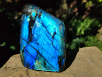 Polished Top Grade Labradorite Standing Free Forms x 2 From Tulear, Madagascar