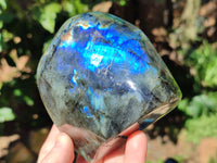Polished Top Grade Labradorite Standing Free Forms x 2 From Tulear, Madagascar