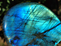 Polished Top Grade Labradorite Standing Free Forms x 2 From Tulear, Madagascar