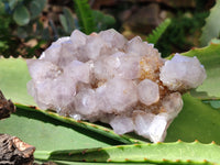Natural Smokey Amethyst Spirit Quartz Clusters x 6 From South Africa