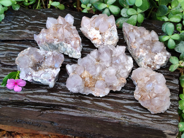 Natural Smokey Amethyst Spirit Quartz Clusters x 6 From South Africa