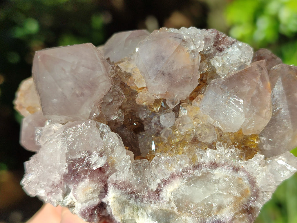 Natural Smokey Amethyst Spirit Quartz Clusters x 6 From South Africa - Toprock Gemstones and Minerals 
