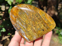 Polished Neolite Standing Free Forms x 4 From Prieska, South Africa