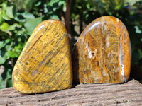 Polished Neolite Standing Free Forms x 4 From Prieska, South Africa