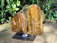 Polished Neolite Standing Free Forms x 4 From Prieska, South Africa