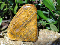 Polished Neolite Standing Free Forms x 4 From Prieska, South Africa