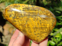 Polished Neolite Standing Free Forms x 4 From Prieska, South Africa
