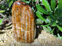 Polished Neolite Standing Free Forms x 4 From Prieska, South Africa