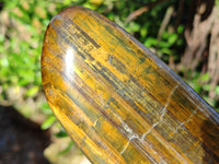 Polished Neolite Standing Free Forms x 4 From Prieska, South Africa