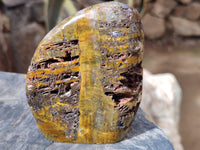 Polished Neolite Standing Free Forms x 4 From Prieska, South Africa