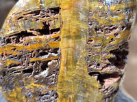 Polished Neolite Standing Free Forms x 4 From Prieska, South Africa