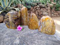 Polished Neolite Standing Free Forms x 4 From Prieska, South Africa