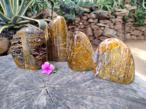 Polished Neolite Standing Free Forms x 4 From Prieska, South Africa