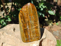 Polished Neolite Standing Free Forms x 4 From Prieska, South Africa