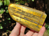 Polished Neolite Standing Free Forms x 4 From Prieska, South Africa