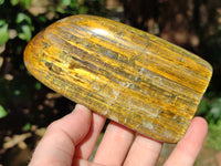 Polished Neolite Standing Free Forms x 4 From Prieska, South Africa