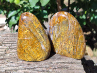 Polished Neolite Standing Free Forms x 4 From Prieska, South Africa