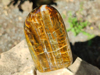 Polished Neolite Standing Free Forms x 4 From Prieska, South Africa