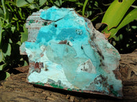 Natural Drusy Coated Chrysocolla and Malachite Specimens x 2 From Likasi, Congo