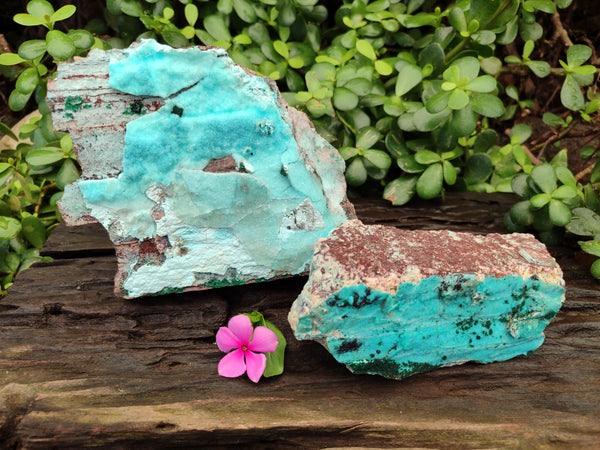 Natural Drusy Coated Chrysocolla and Malachite Specimens x 2 From Likasi, Congo