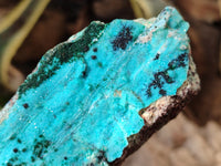 Natural Drusy Coated Chrysocolla and Malachite Specimens x 2 From Likasi, Congo