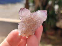 Natural Small Cactus Flower Sunburst Spirit Amethyst Clusters x 35 From South Africa