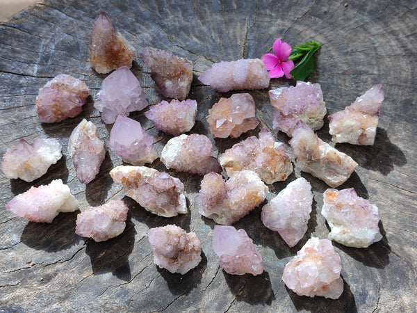 Natural Small Cactus Flower Sunburst Spirit Amethyst Clusters x 35 From South Africa