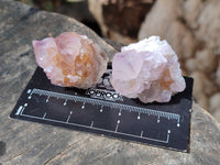 Natural Small Cactus Flower Sunburst Spirit Amethyst Clusters x 35 From South Africa