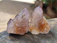 Natural Small Cactus Flower Sunburst Spirit Amethyst Clusters x 35 From South Africa