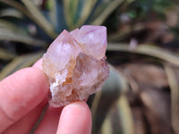 Natural Small Cactus Flower Sunburst Spirit Amethyst Clusters x 35 From South Africa