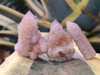 Natural Small Cactus Flower Sunburst Spirit Amethyst Clusters x 35 From South Africa