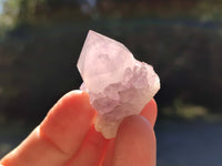 Natural Small Cactus Flower Sunburst Spirit Amethyst Clusters x 35 From South Africa