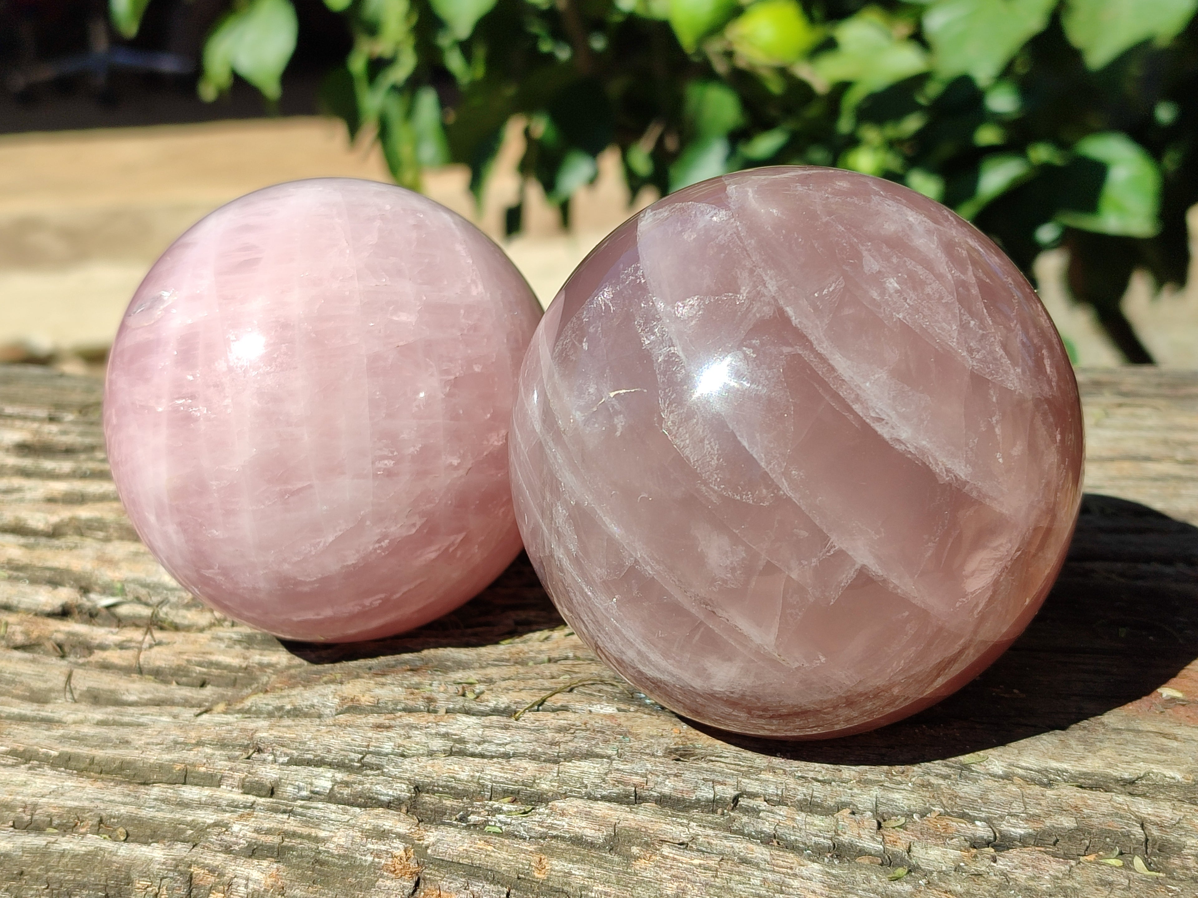 Polished Star Rose Quartz Spheres x 2 From Ambatondrazaka, Madagascar - Toprock Gemstones and Minerals 