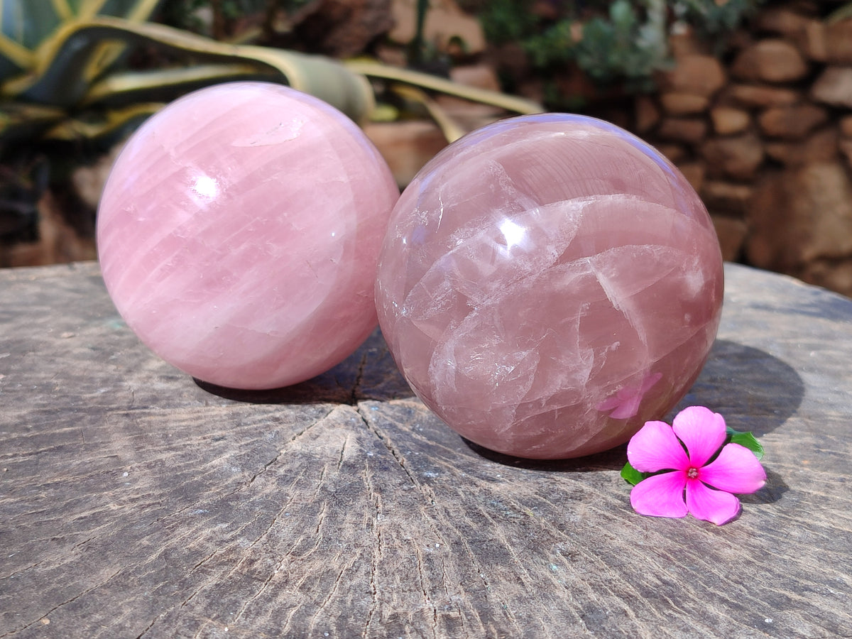 Polished Star Rose Quartz Spheres x 2 From Ambatondrazaka, Madagascar - Toprock Gemstones and Minerals 