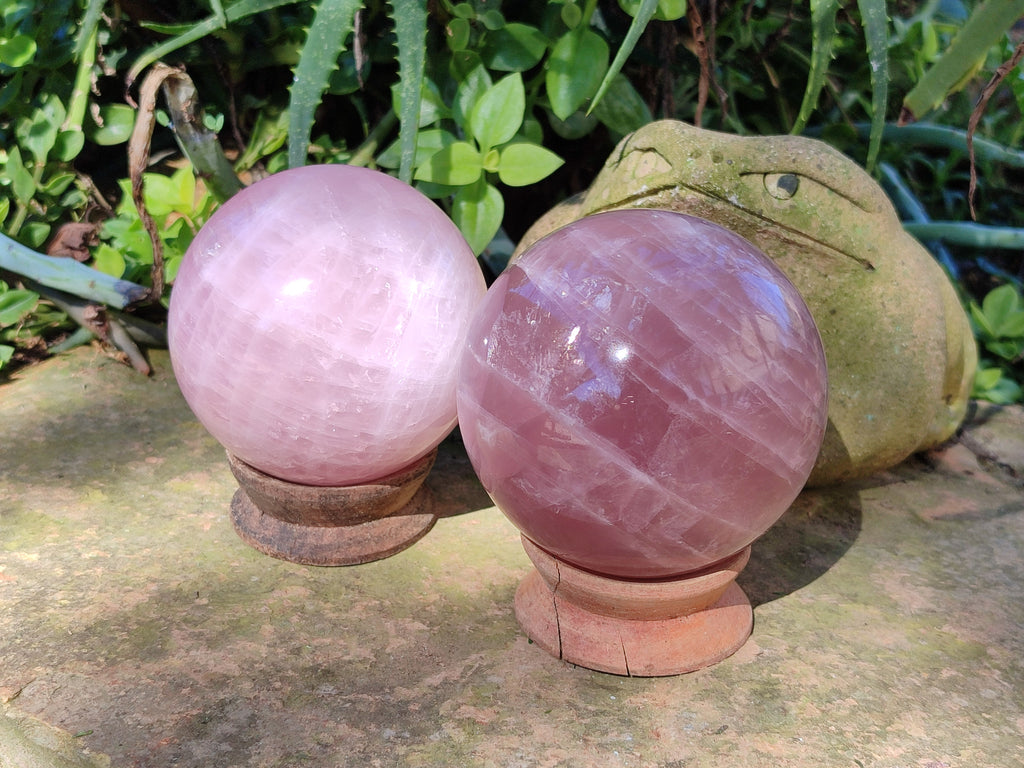 Polished Star Rose Quartz Spheres x 2 From Ambatondrazaka, Madagascar - Toprock Gemstones and Minerals 