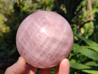 Polished Star Rose Quartz Spheres x 2 From Ambatondrazaka, Madagascar - Toprock Gemstones and Minerals 