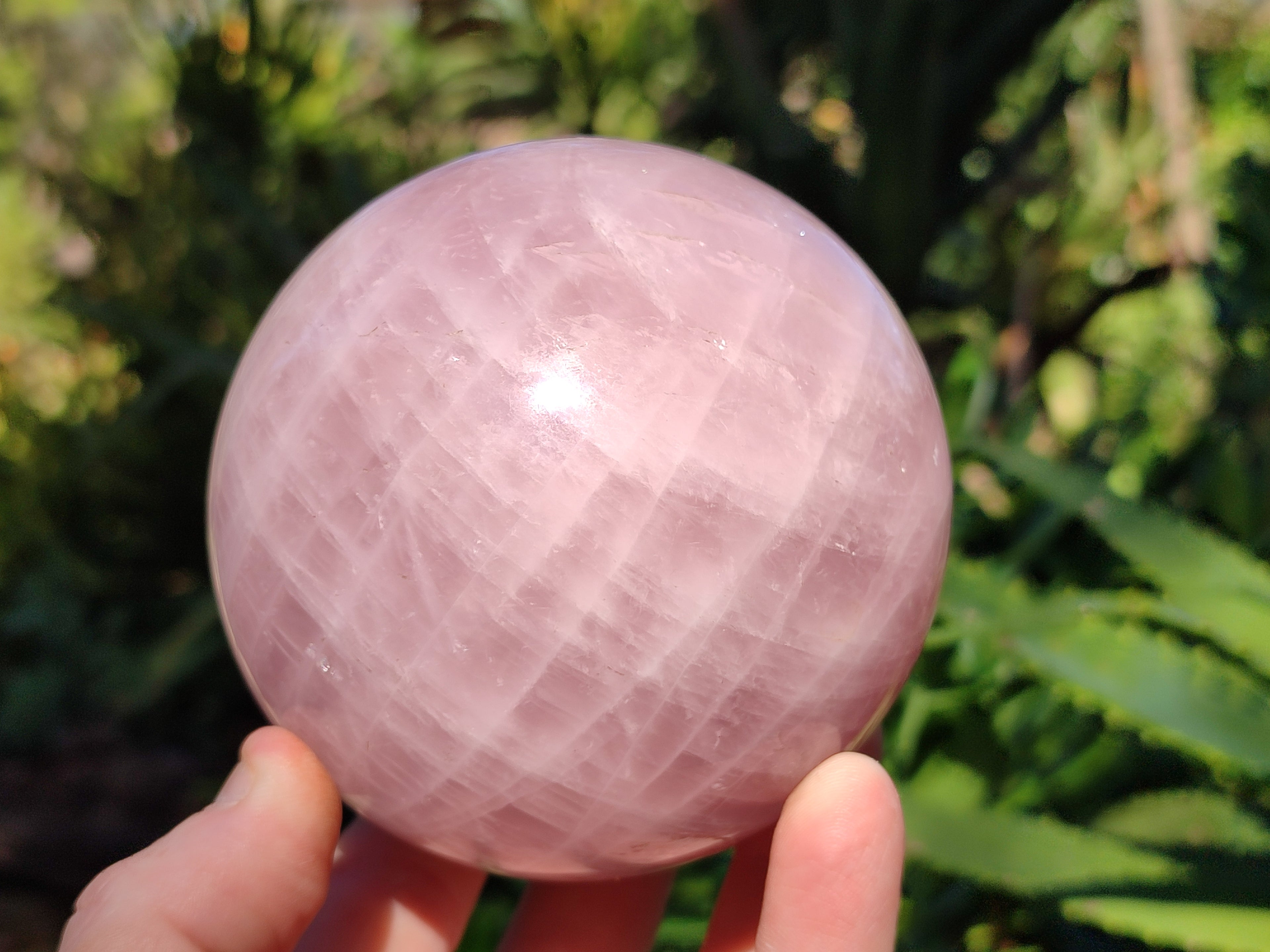 Polished Star Rose Quartz Spheres x 2 From Ambatondrazaka, Madagascar - Toprock Gemstones and Minerals 