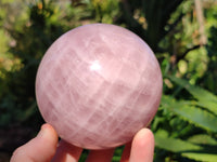 Polished Star Rose Quartz Spheres x 2 From Ambatondrazaka, Madagascar