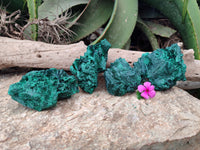 Natural Silky Malachite Specimens x 4 From Kasompe, Congo