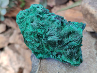 Natural Silky Malachite Specimens x 4 From Kasompe, Congo