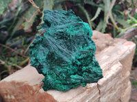 Natural Silky Malachite Specimens x 4 From Kasompe, Congo