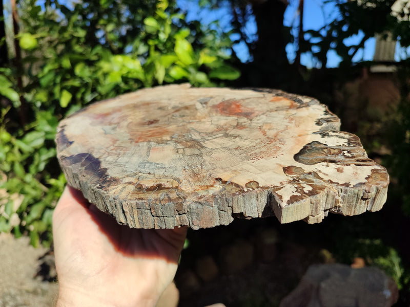files/164450_8.jpg